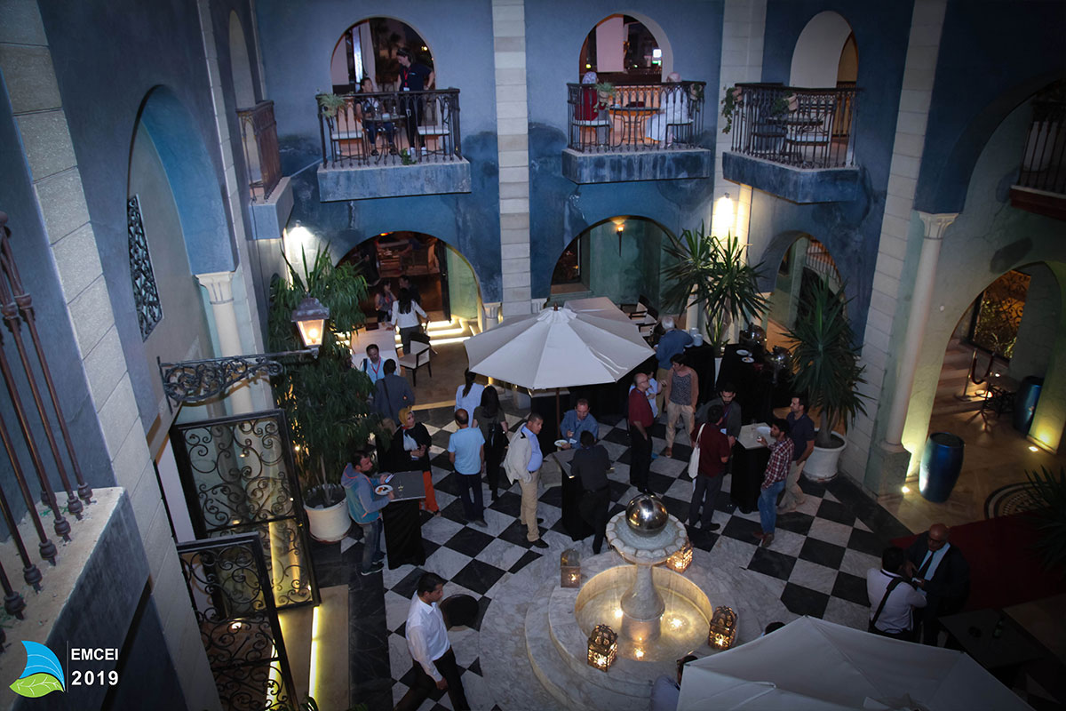 EMCEI 2019 EMCEI 2019