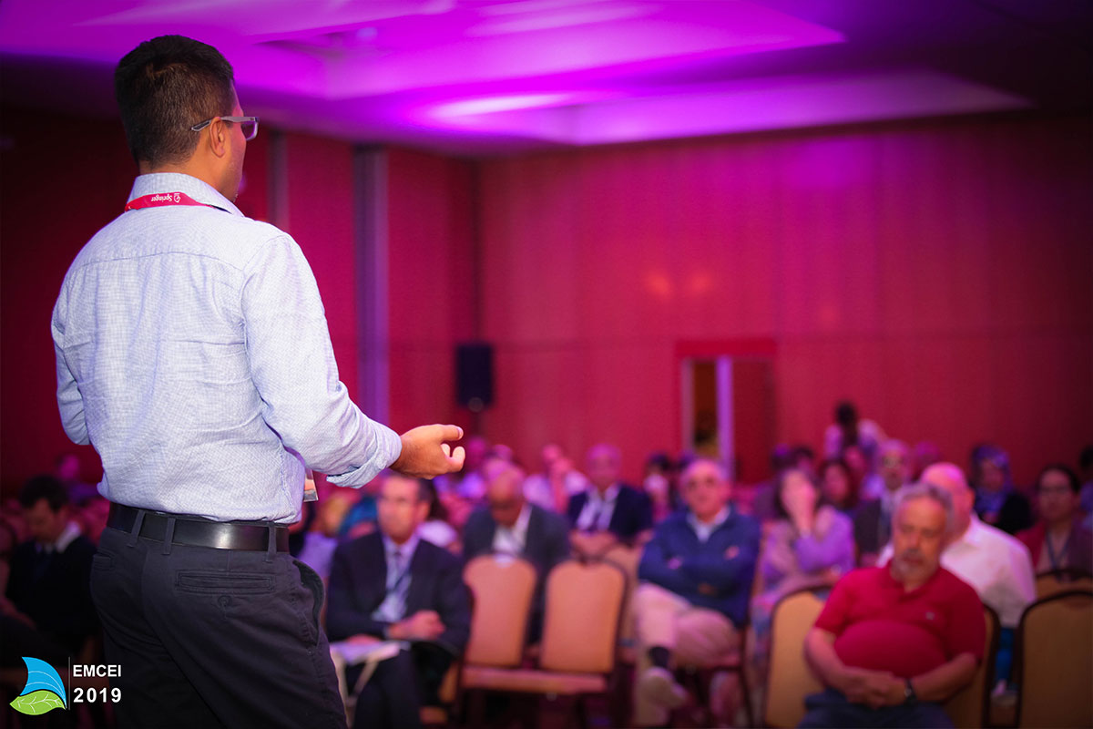 EMCEI 2019 EMCEI 2019