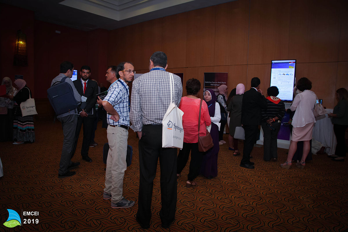 EMCEI 2019 EMCEI 2019