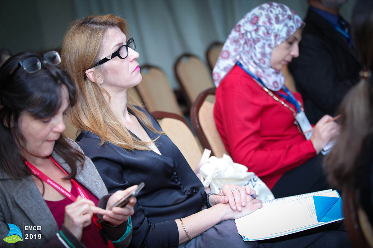 EMCEI 2019