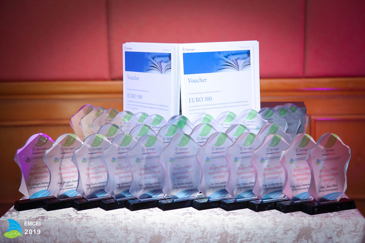 EMCEI 2019