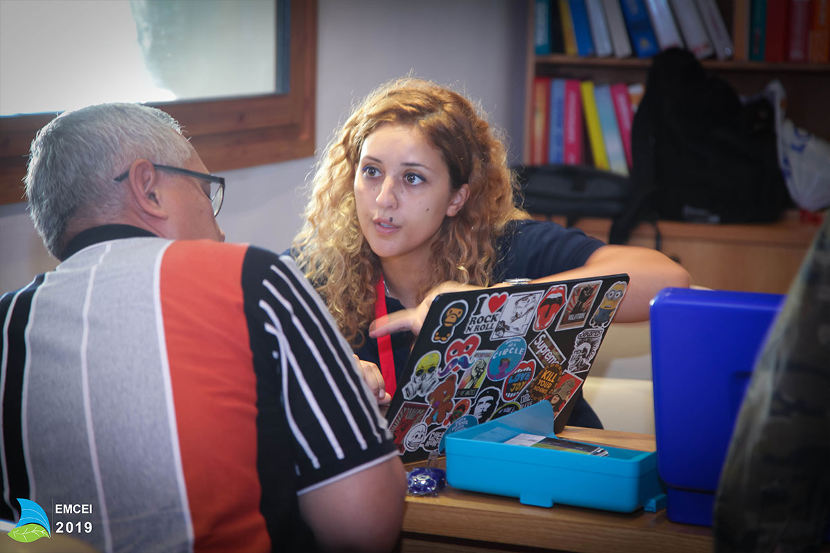 EMCEI 2019