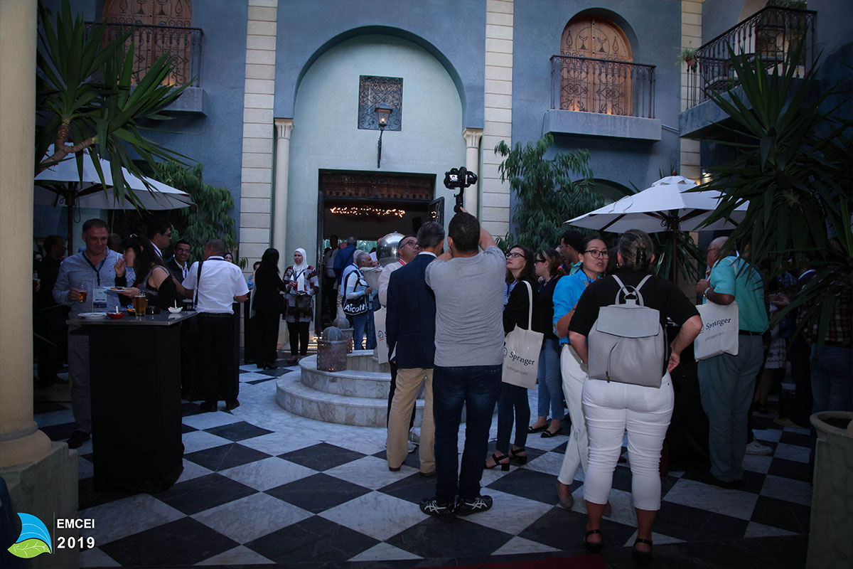 EMCEI 2019 EMCEI 2019