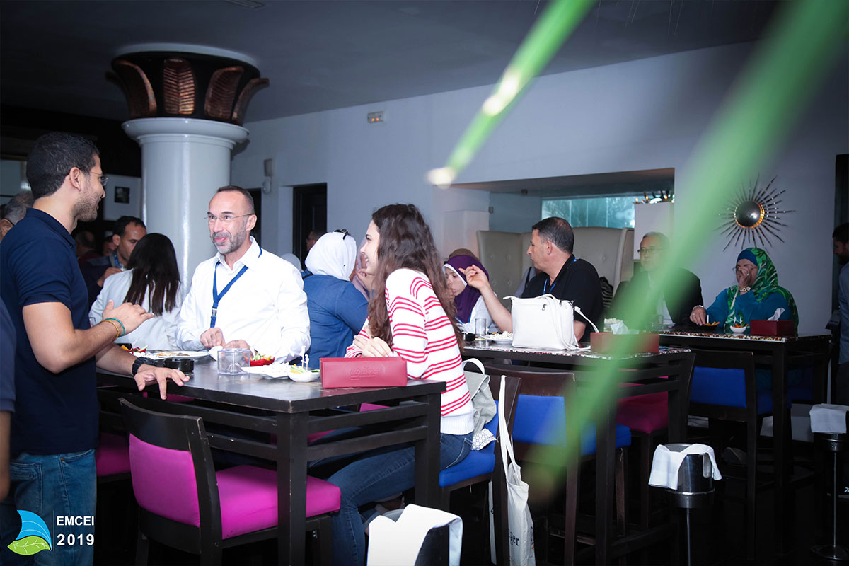 EMCEI 2019