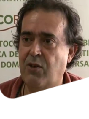 Massimo Fagnano